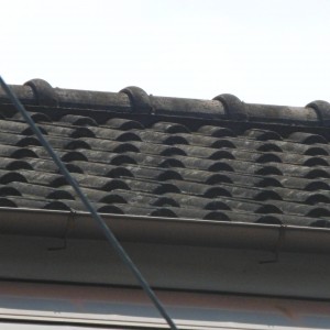 P1000589